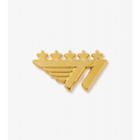 2024  T1 Logo Badge - V5 Champions Edition